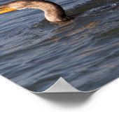 魚のポスター付き二重の紋付き鵜 ポスター (角)