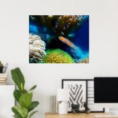 魚のポスター ポスター (ホームオフィス)