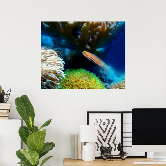 魚のポスター ポスター (ホームオフィス)