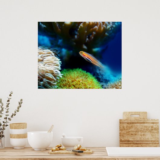 魚のポスター ポスター (キッチン)