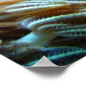 魚のポスター ポスター (角)