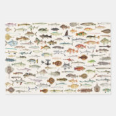 魚のラッピングペーパー, フィッシングギフトラップ ラッピングペーパーシート (正面3)