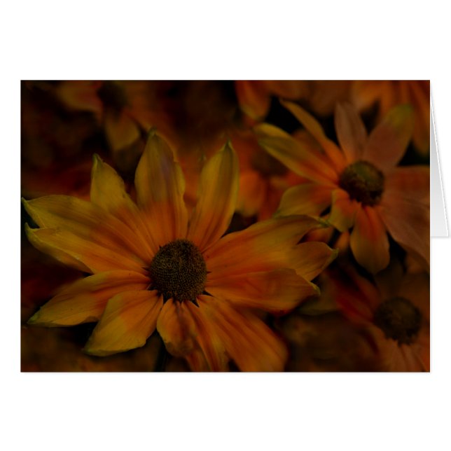 魚の入り江の花 (正面横)