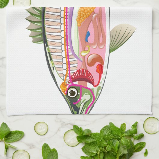 魚の内臓のベクトル芸術の図表の解剖学 キッチンタオル (折り畳み)