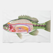 魚の内臓のベクトル芸術の図表の解剖学 キッチンタオル (横)
