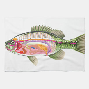 魚の内臓のベクトル芸術の図表の解剖学 キッチンタオル