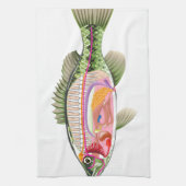 魚の内臓のベクトル芸術の図表の解剖学 キッチンタオル (縦)