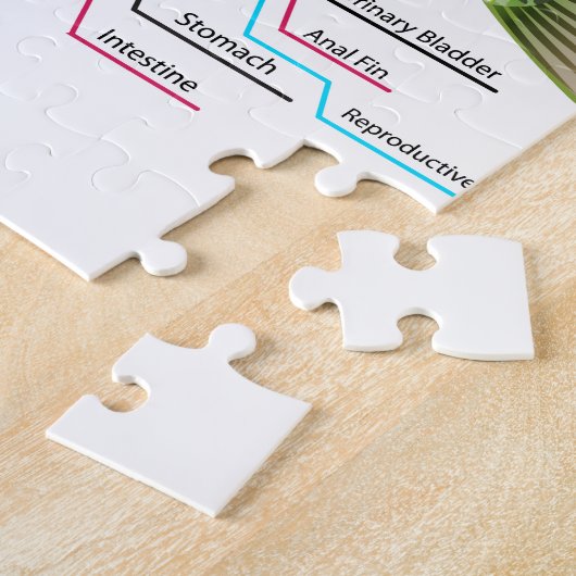 魚の内臓のベクトル芸術の図表の解剖学 ジグソーパズル (側面)