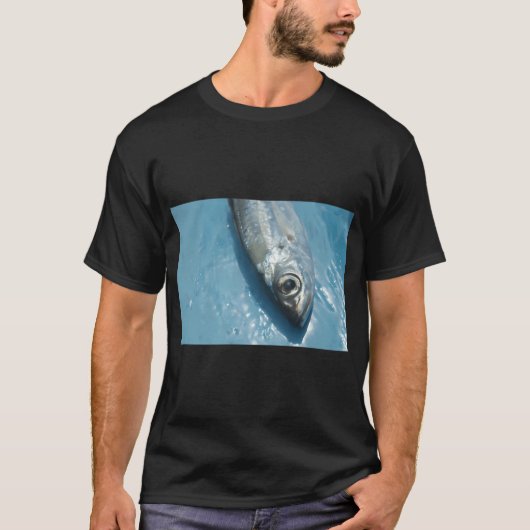 魚の写真プリント Tシャツ (正面)