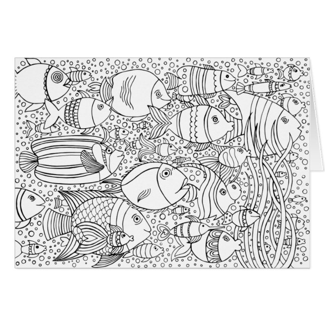 魚の刺激を受けたな学校 (正面横)