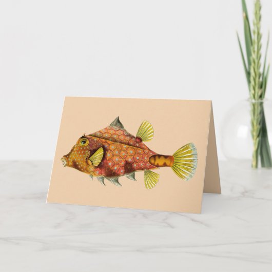 魚の包みグリーティングカード カード (正面)