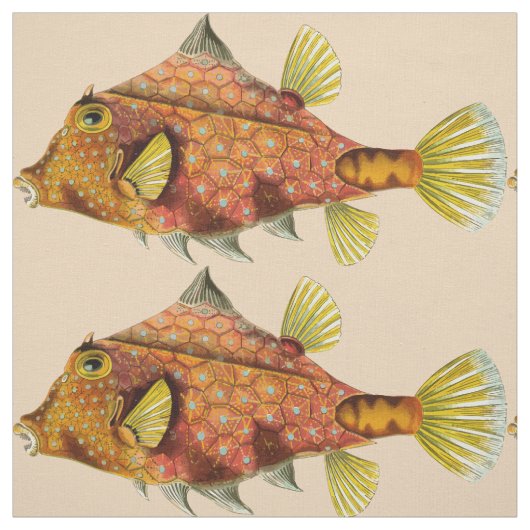 魚の包みプリント布 ファブリック (見本)