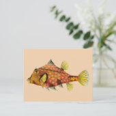 魚の包み葉書 ポストカード (スタンド正面)