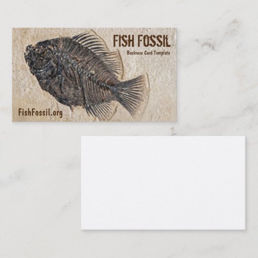 魚の化石の写真 名刺 (正面/裏面)