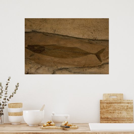 魚の化石 ポスター (キッチン)