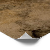 魚の化石 ポスター (角)