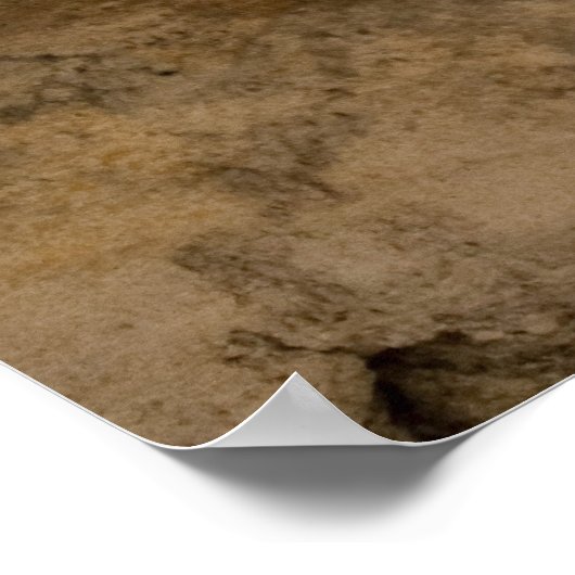 魚の化石 ポスター (角)