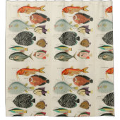 魚の収集 シャワーカーテン (正面)
