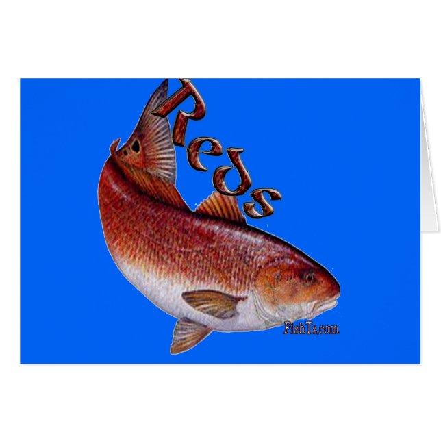 魚の塩水のコレクション (正面横)