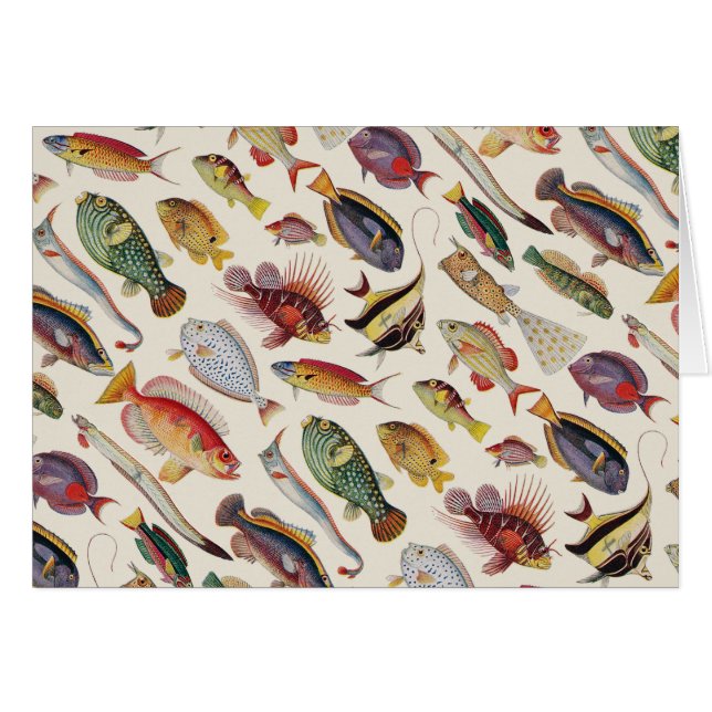 魚の変化 (正面横)