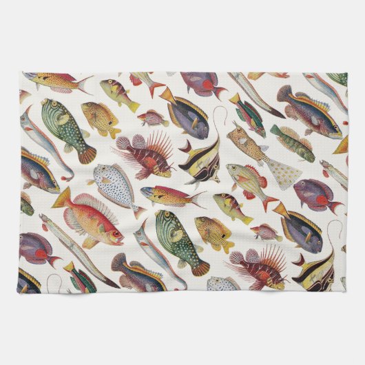 魚の変化 キッチンタオル (横)
