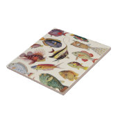 魚の変化 タイル (側面)