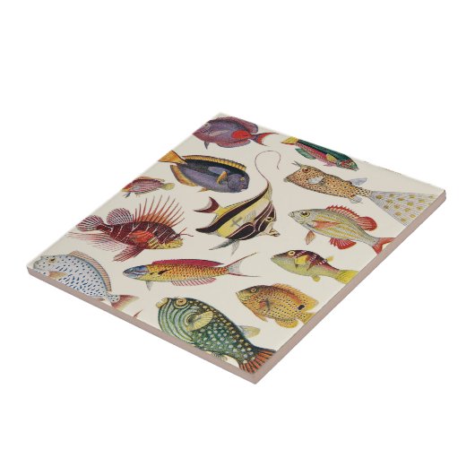 魚の変化 タイル (側面)