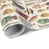 魚の変化 ラッピングペーパー (ロールコーナー)