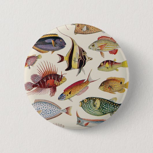 魚の変化 缶バッジ (正面)