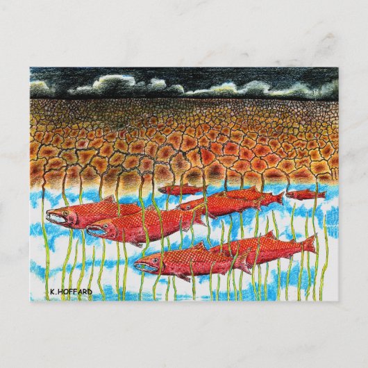 魚の夢 ポストカード (正面)