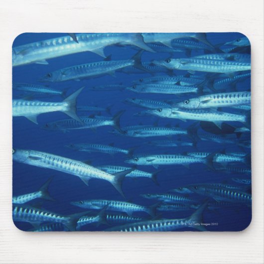 魚の学校9 マウスパッド (正面)