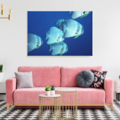 魚の学校 キャンバスプリント (インサイチュ (リビング))