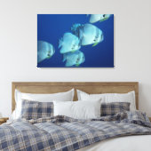 魚の学校 キャンバスプリント (インサイチュ (寝室))