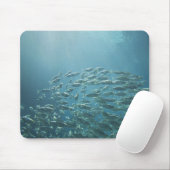 魚の学校,ナッソー,バハマ マウスパッド (マウス)
