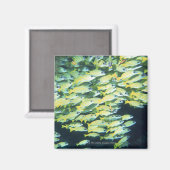 魚の学校 マグネット (正面/裏面)