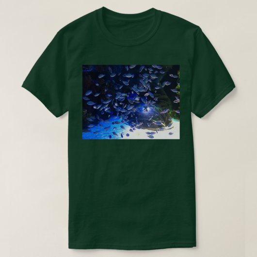 魚の学校 Tシャツ (デザイン正面)