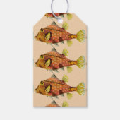 魚の巻きギフトラベル ギフトタグ (正面)