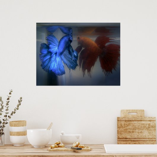 魚の戦い ポスター (キッチン)