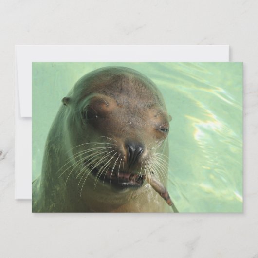 魚の招待状が付いているシール 招待状 (正面)