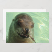 魚の招待状が付いているシール 招待状 (正面/裏面)