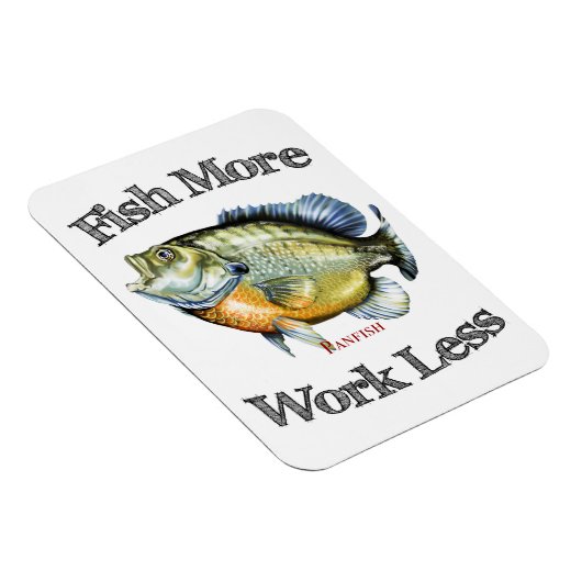 魚の数が多いほど効果が少ない マグネット (右側)