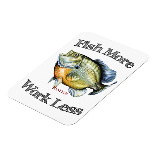 魚の数が多いほど効果が少ない マグネット (左側)