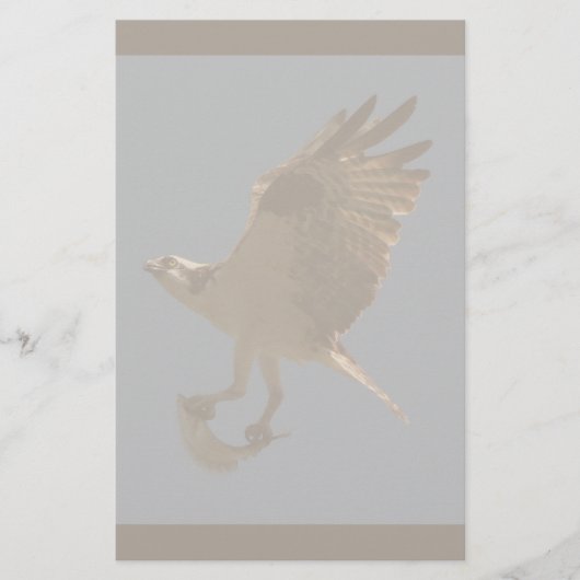 魚の文房具を持つミサゴ 便箋 (正面)