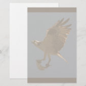 魚の文房具を持つミサゴ 便箋 (正面/裏面)