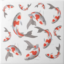 魚の日本のコイオレンジと白アジアスタイル