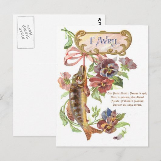 魚の朝顔 ポストカード (正面/裏面)