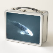 魚の泳ぎ メタルランチボックス (正面)