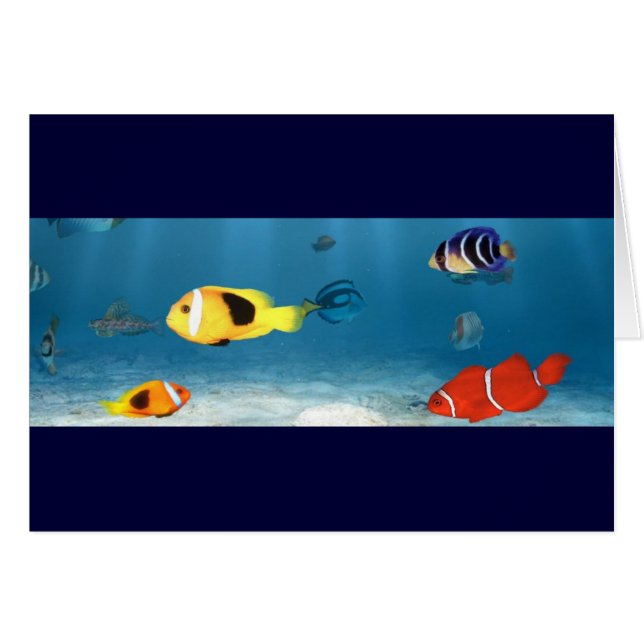 魚の海洋 (正面横)