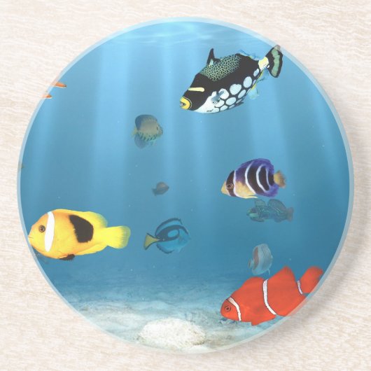 魚の海洋 コースター (正面)