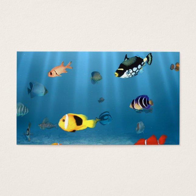 魚の海 (正面)